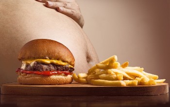 Obesidad - Causas