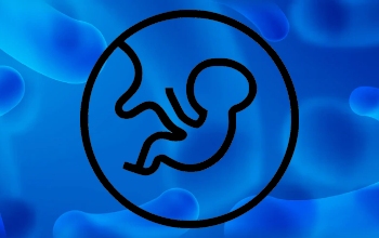 Embrión - Características