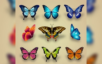 Mariposa - Tipos