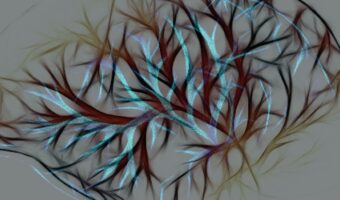 Nervios 3
