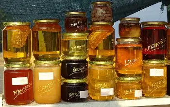 Tarros de miel de diferentes tipos y colores