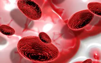 Células de sangre en 3d circulando en venas en un fonodo traslucido de color rojo y blanco