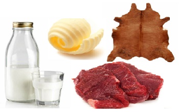 Una imagen donde se ven fotos de una botella y un vaso de leche, mantequilla, cuero y unos trozos de carne cruda