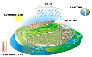 Paísaje de una isla donde se mencionan los elementos abióticos: agua, luminosidad, latitud, altitud y temperatura