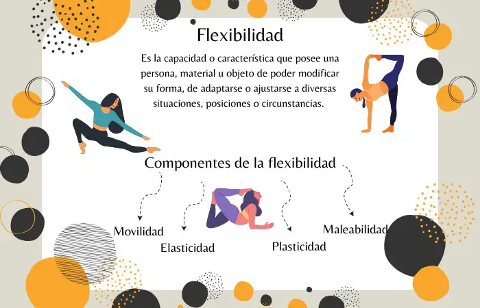 qué es la flexibilidad y sus componentes