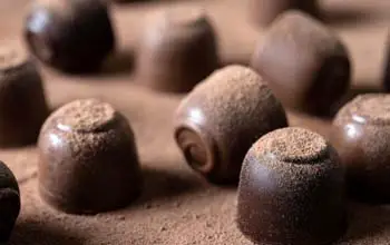 Bombones de chocolate cubiertos de cacao en polvo