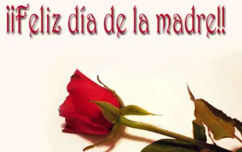 Dedicatoria del día de la madre con una rosa roja sobre fondo de color blanco