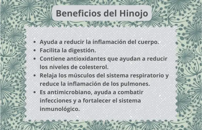 Resumen de los beneficios del Hinojo