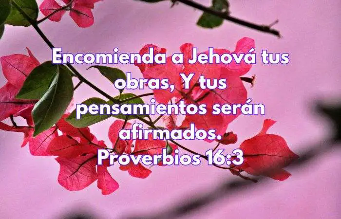 Foto de unas flores rosas y arriba se lee la frase Encomienda a Jehová tus obras, y tus pensamientos serán afirmados. Proverbios 16:3