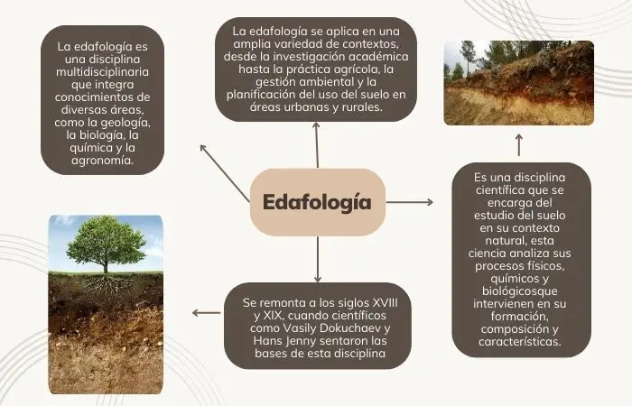 Resumen del concepto de edafología en un mapa conceptual