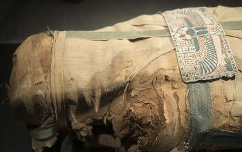Foto de una momia egipcia cubierta con una tela