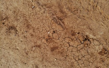 Imagen de un suelo seco con grietas